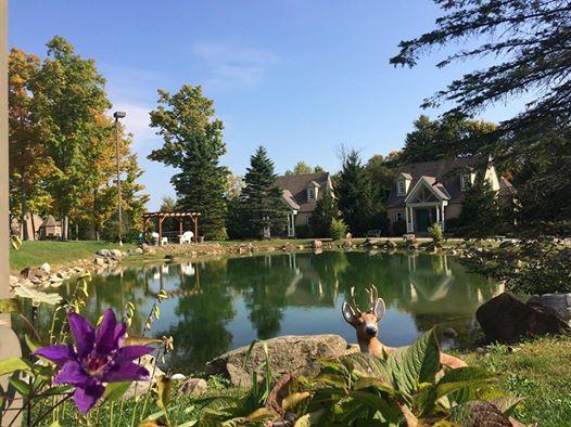 Spruce Hill Inn & Cottages Mansfield Exterior foto