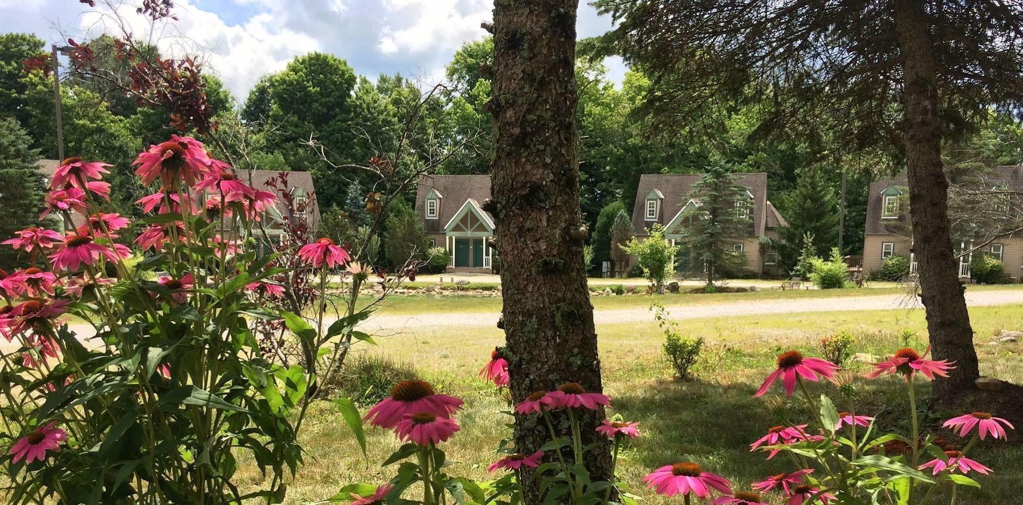 Spruce Hill Inn & Cottages Mansfield Exterior foto